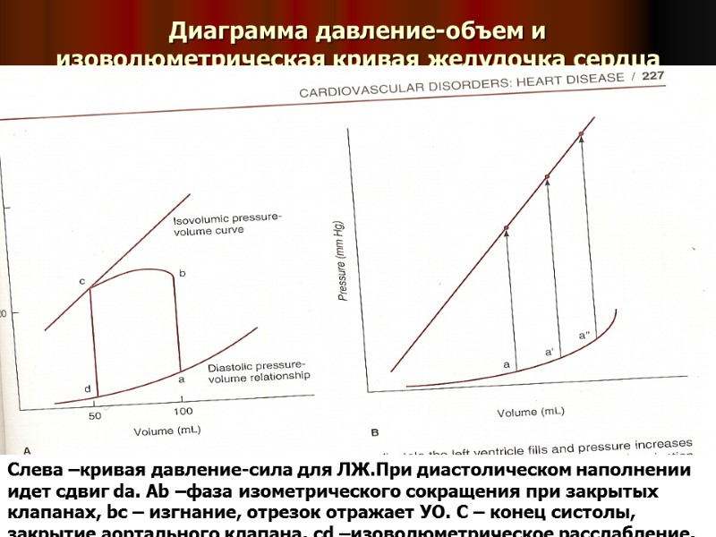 Диаграмма давление-объем и изоволюметрическая кривая желудочка сердца Слева –кривая давление-сила для ЛЖ.При диастолическом наполнении